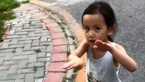 黄磊妹妹爆料了吗视频全集,娱乐圈背后的惊人真相 第2张 黄磊妹妹爆料了吗视频全集,娱乐圈背后的惊人真相 第2张