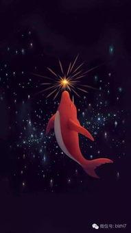 大鱼海棠高清在线观看免费版,探寻海洋深处的奇幻之旅 第3张 大鱼海棠高清在线观看免费版,探寻海洋深处的奇幻之旅 第3张